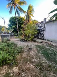 https://img.olx.com.br/thumbs256x256/46/465574381092468.jpg