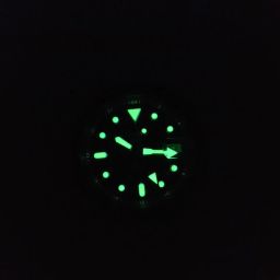 https://img.olx.com.br/thumbs256x256/46/465661786294663.jpg