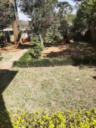 https://img.olx.com.br/thumbs256x256/46/466486798638661.jpg