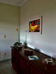 https://img.olx.com.br/thumbs256x256/46/466573761488199.jpg