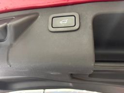 https://img.olx.com.br/thumbs256x256/46/466592285239492.jpg