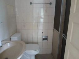 https://img.olx.com.br/thumbs256x256/46/467504283909655.jpg