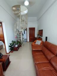 https://img.olx.com.br/thumbs256x256/46/467579522722152.jpg