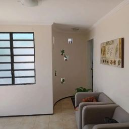 https://img.olx.com.br/thumbs256x256/46/467590393069562.jpg