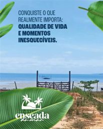 https://img.olx.com.br/thumbs256x256/46/469513163926113.jpg