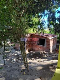 https://img.olx.com.br/thumbs256x256/46/469526641969105.jpg