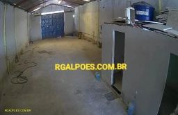 https://img.olx.com.br/thumbs256x256/46/469537153090986.jpg