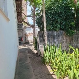 https://img.olx.com.br/thumbs256x256/46/469548633764559.jpg