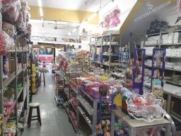 https://img.olx.com.br/thumbs256x256/46/469622926813806.jpg