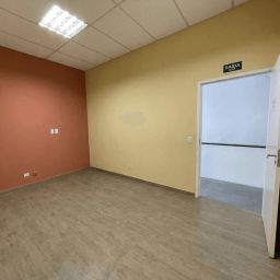 https://img.olx.com.br/thumbs256x256/47/471699060534706.jpg