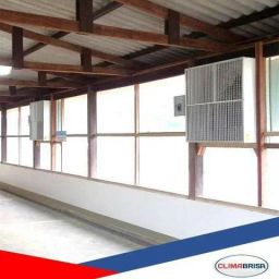 https://img.olx.com.br/thumbs256x256/47/472413113737097.jpg