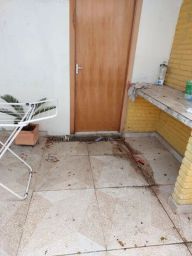 https://img.olx.com.br/thumbs256x256/47/472453220127190.jpg