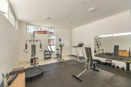 https://img.olx.com.br/thumbs256x256/47/472512158055654.jpg