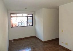 https://img.olx.com.br/thumbs256x256/47/472596169823670.jpg