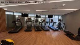https://img.olx.com.br/thumbs256x256/47/472655673349450.jpg