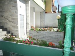 https://img.olx.com.br/thumbs256x256/47/473207328947135.jpg