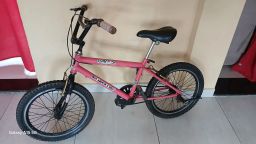 https://img.olx.com.br/thumbs256x256/47/473439472641210.jpg