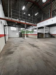 https://img.olx.com.br/thumbs256x256/47/473631788064555.jpg