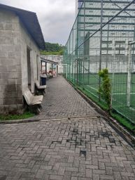 https://img.olx.com.br/thumbs256x256/47/473696903186338.jpg