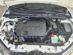 https://img.olx.com.br/thumbs256x256/47/474640453687443.jpg