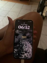 https://img.olx.com.br/thumbs256x256/47/475518751401303.jpg