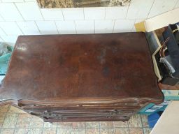 https://img.olx.com.br/thumbs256x256/47/475544765382756.jpg