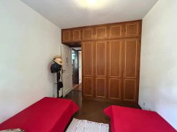 https://img.olx.com.br/thumbs256x256/47/475546761626320.jpg