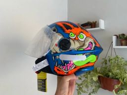 https://img.olx.com.br/thumbs256x256/47/475678808083152.jpg
