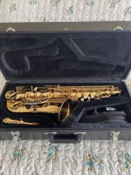 https://img.olx.com.br/thumbs256x256/47/476433438330049.jpg