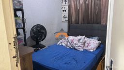 https://img.olx.com.br/thumbs256x256/47/476514519311857.jpg