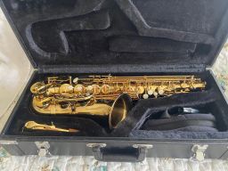 https://img.olx.com.br/thumbs256x256/47/477448437343867.jpg