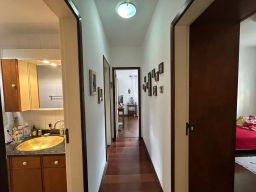 https://img.olx.com.br/thumbs256x256/47/477534045592153.jpg