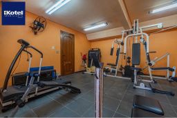 https://img.olx.com.br/thumbs256x256/47/477569168536672.jpg