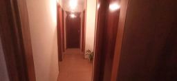 https://img.olx.com.br/thumbs256x256/47/477594165967002.jpg