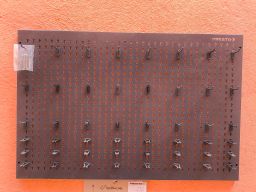 https://img.olx.com.br/thumbs256x256/47/477650772369124.jpg