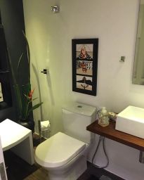 https://img.olx.com.br/thumbs256x256/47/478554757025271.jpg