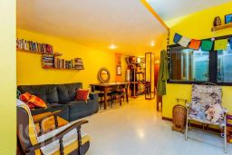 https://img.olx.com.br/thumbs256x256/47/478557525619823.jpg