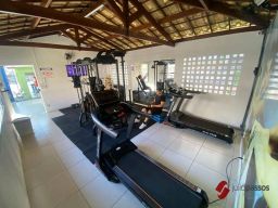 https://img.olx.com.br/thumbs256x256/47/478561281398288.jpg
