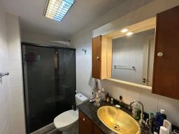 https://img.olx.com.br/thumbs256x256/47/479511166833740.jpg