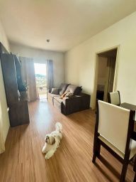 https://img.olx.com.br/thumbs256x256/47/479512649572682.jpg