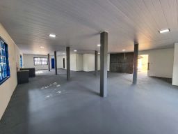 https://img.olx.com.br/thumbs256x256/47/479513012809626.jpg