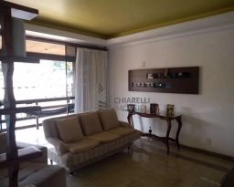 https://img.olx.com.br/thumbs256x256/47/479513165720406.jpg
