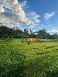 https://img.olx.com.br/thumbs256x256/47/479526764803075.jpg