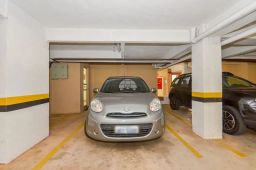 https://img.olx.com.br/thumbs256x256/47/479552390712977.jpg
