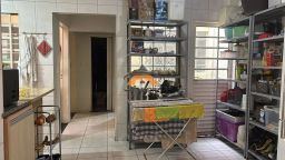 https://img.olx.com.br/thumbs256x256/47/479565752297221.jpg