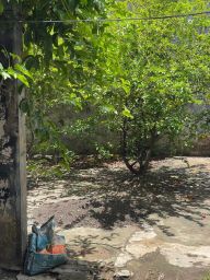 https://img.olx.com.br/thumbs256x256/48/480452795715238.jpg