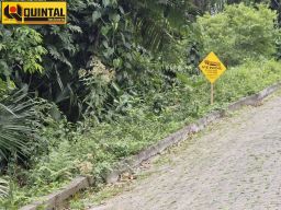 https://img.olx.com.br/thumbs256x256/48/480504638155512.jpg