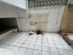 https://img.olx.com.br/thumbs256x256/48/480527275178331.jpg