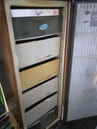 https://img.olx.com.br/thumbs256x256/48/480543631774657.jpg