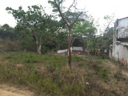 https://img.olx.com.br/thumbs256x256/48/481503511008127.jpg